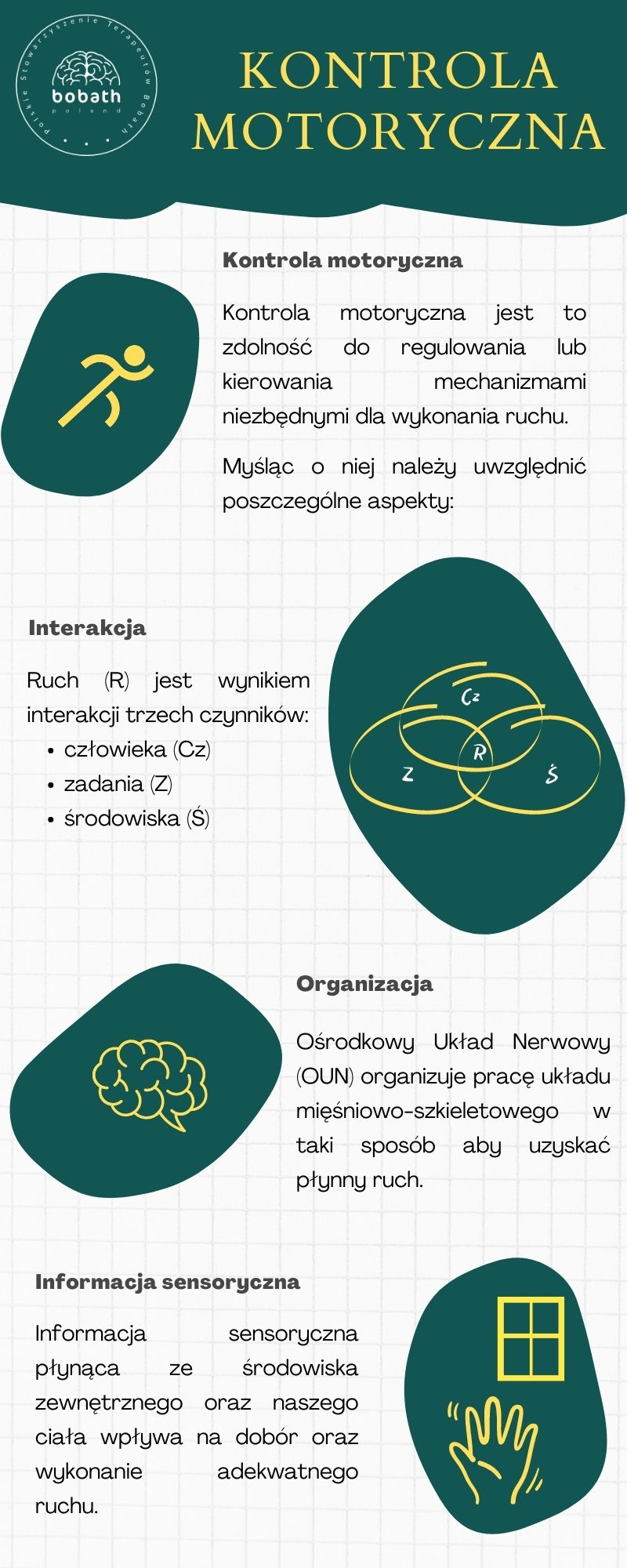Kontrola motoryczna - infografika