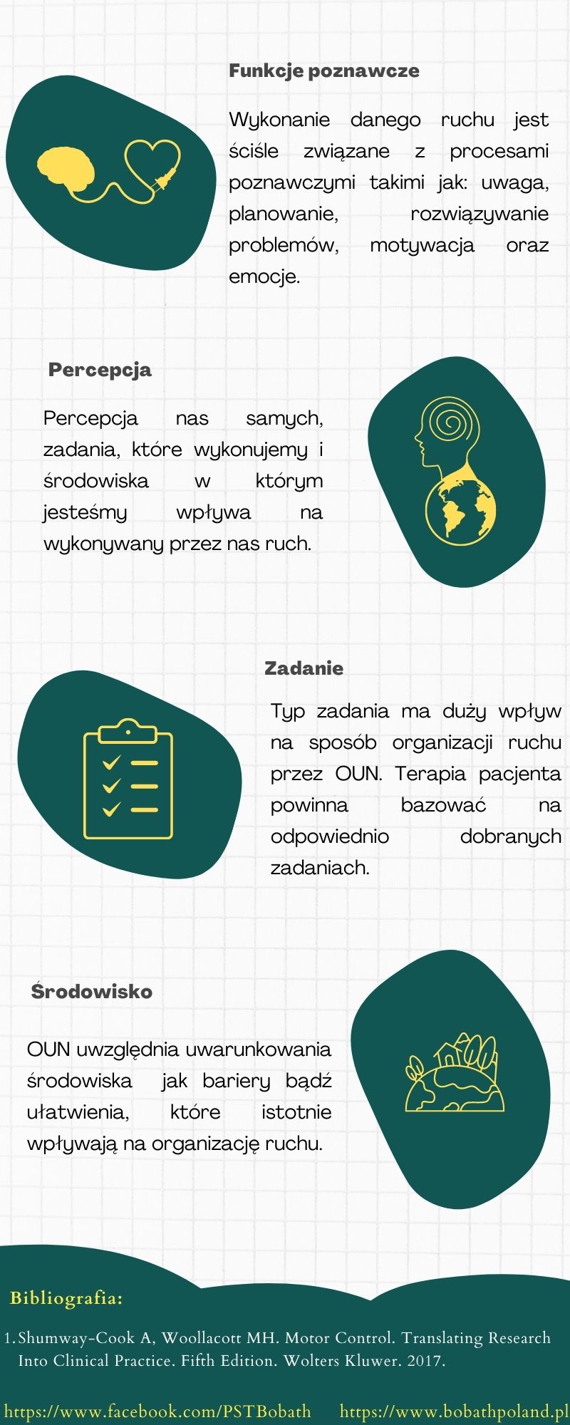 Kontrola motoryczna - infografika