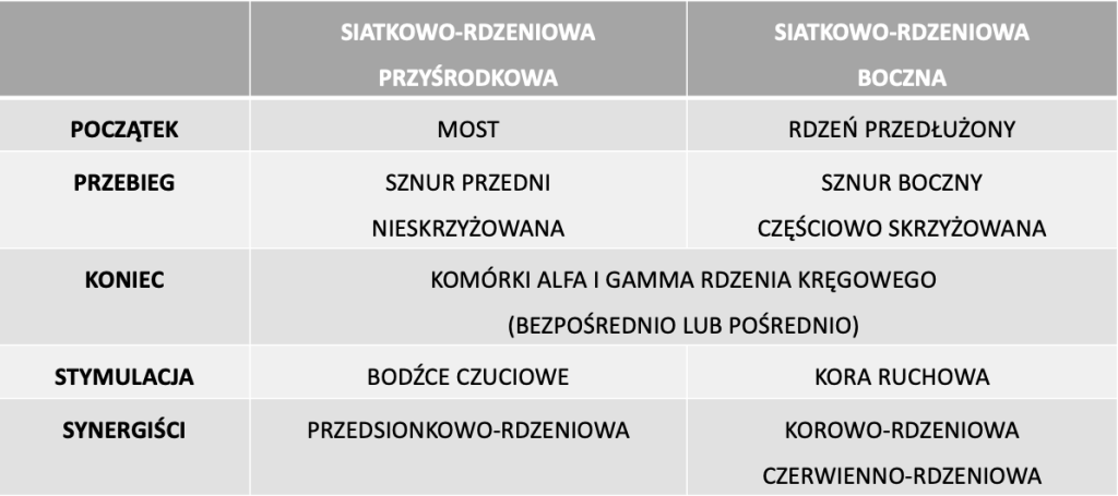 Porównanie dróg siatkowo-rdzeniowych
