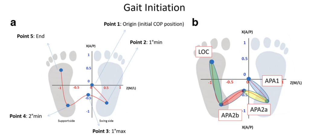 Przemieszczenia środka nacisku (CoP) podczas zapoczątkowania chodu